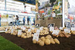 Feria-Alimagro-2023-66