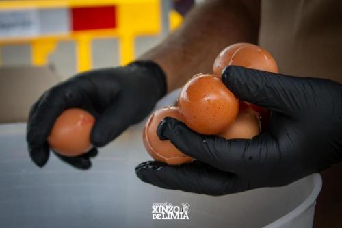 tortilla-patatas-20