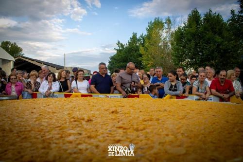 tortilla-patatas-25