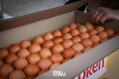 tortilla-patatas-36
