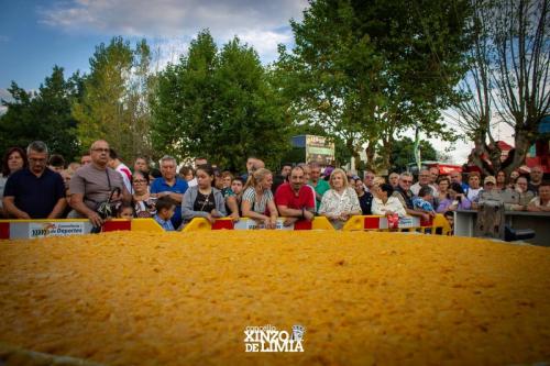 tortilla-patatas-41